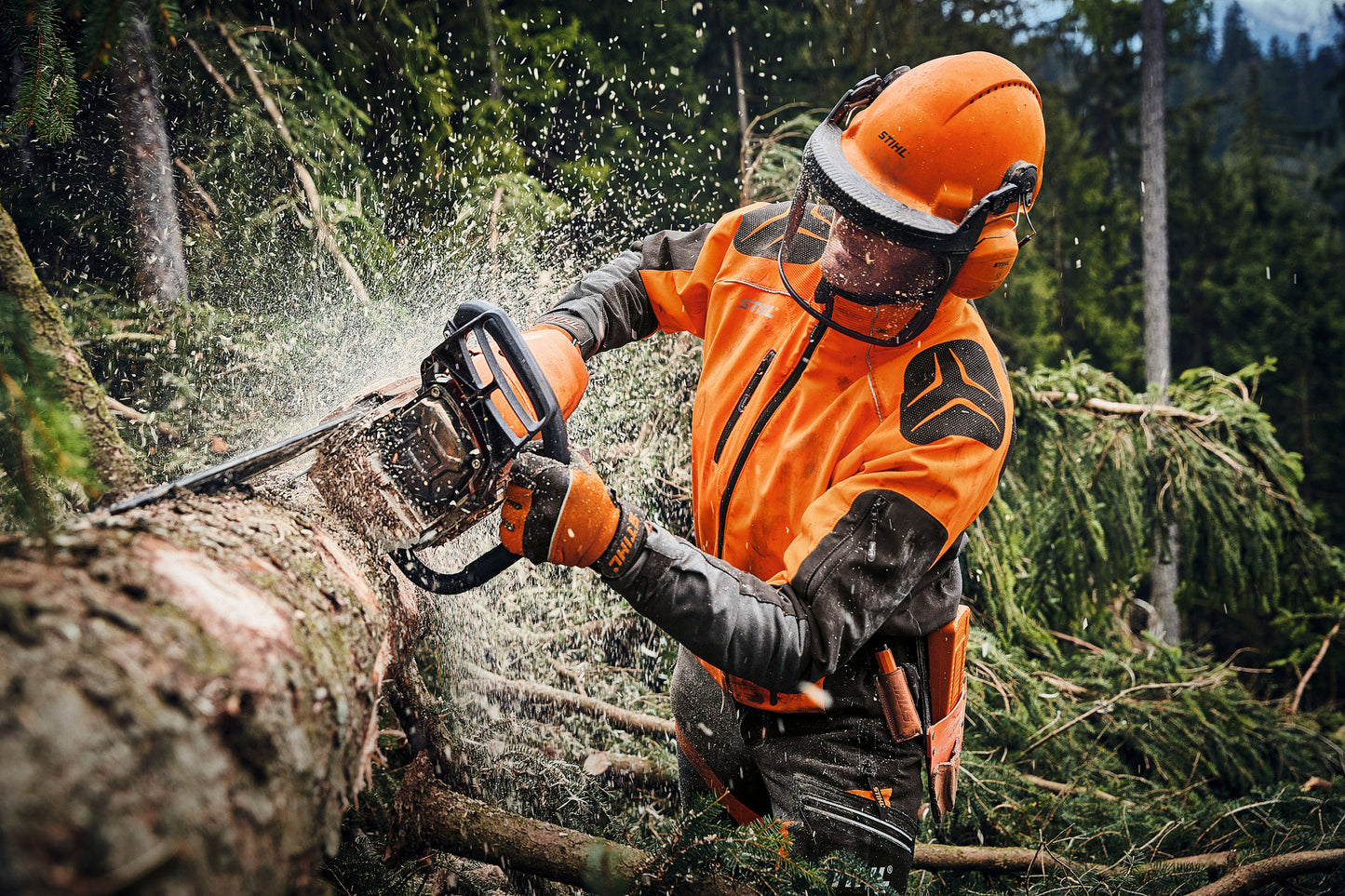 Dettaglio motore motosega STIHL MS 462 C-M