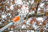 Potatore ad asta Stihl HTA 50 in uso su rami alti
