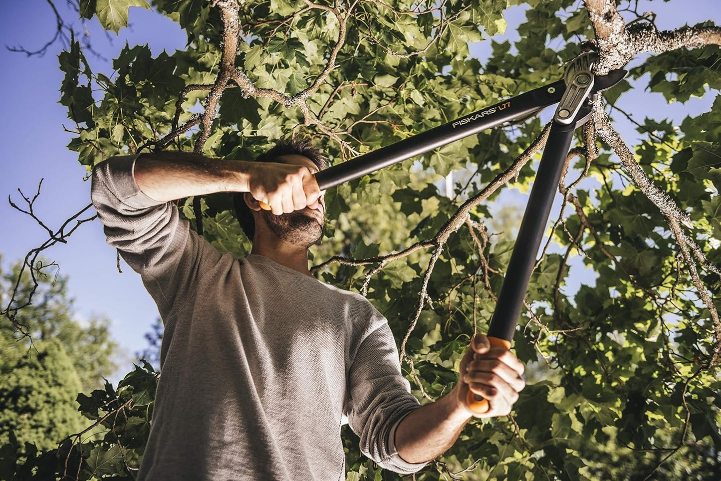 Uomo che utilizza cesoie da potatura Fiskars L77 per tagliare rami di un albero in un giardino verde. Strumento da giardinaggio ideale per potatura di precisione e manutenzione del verde. Cesoie robuste con manici ergonomici per tagli efficaci.