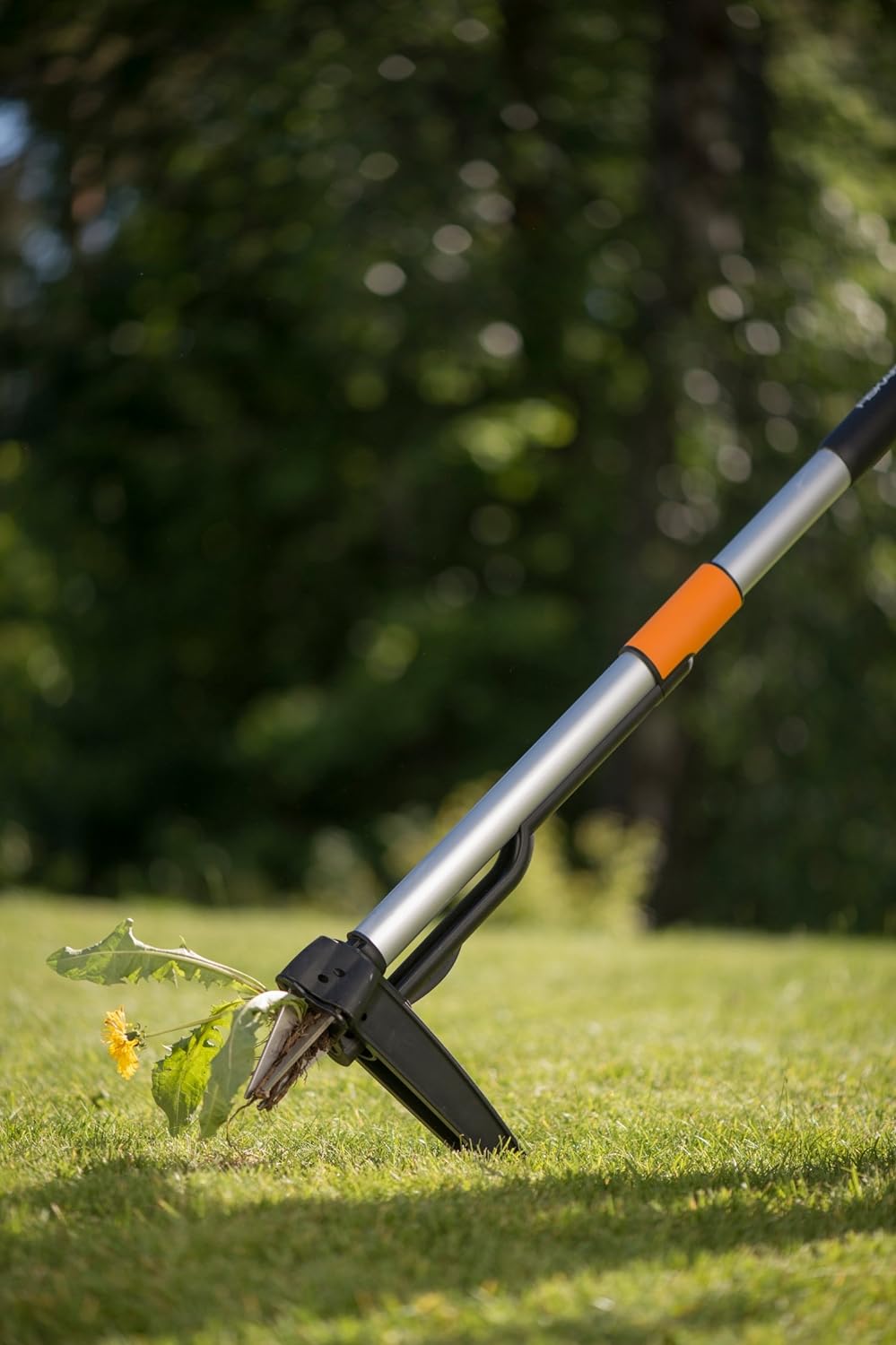 Strumento per la rimozione delle erbacce in giardino con impugnatura ergonomica e struttura in metallo, ideale per estirpare piante infestanti senza sforzo. Perfetto per mantenere il prato pulito e ordinato. Acquista ora per un giardino impeccabile.