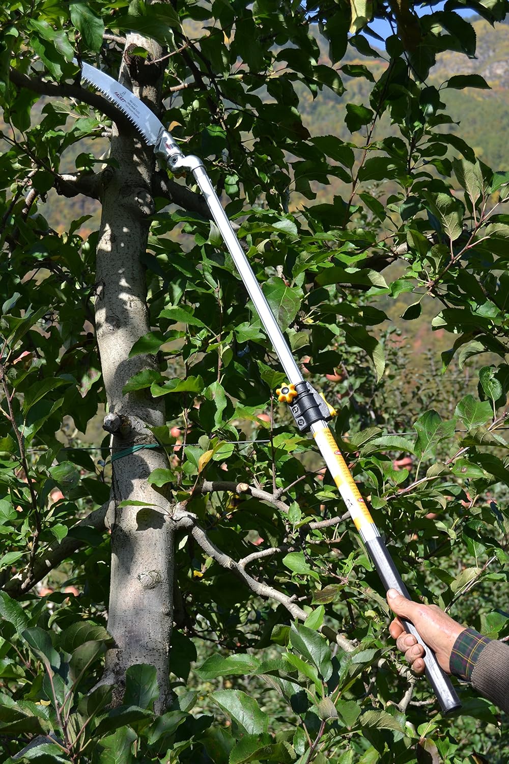 Persona che utilizza una sega manuale telescopica per potare rami di un albero in un giardino. Strumento da giardinaggio per potatura, ideale per tagliare rami alti e difficili da raggiungere. Efficienza nella manutenzione del verde.