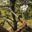 Persona che utilizza una cesoia telescopica per potare un albero in un giardino verde. Attrezzo da giardinaggio con manici ergonomici arancioni e lama affilata, ideale per tagliare rami alti e grossi. Attività di giardinaggio all'aperto.