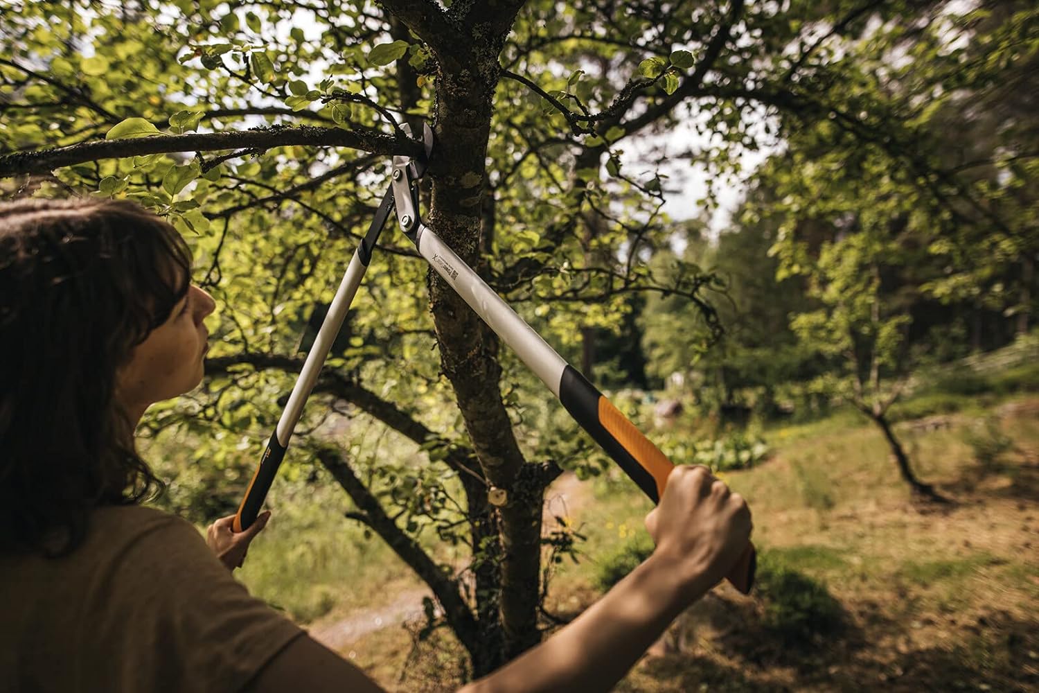 Persona che utilizza una cesoia telescopica per potare un albero in un giardino verde. Attrezzo da giardinaggio con manici ergonomici arancioni e lama affilata, ideale per tagliare rami alti e grossi. Attività di giardinaggio all'aperto.