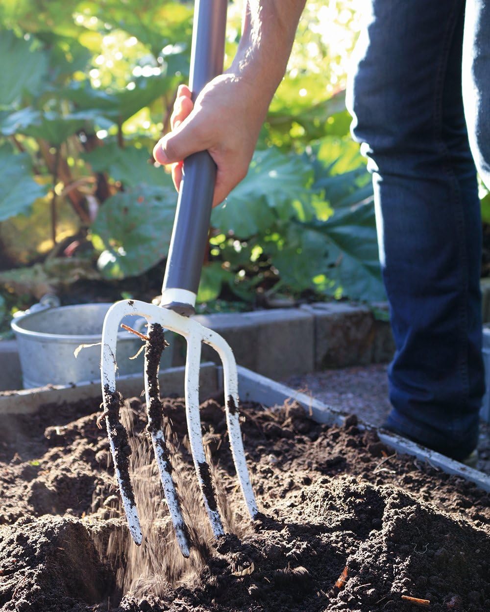 Persona che utilizza una forca da giardinaggio per lavorare il terreno in un giardino, con piante verdi sullo sfondo. Strumento da giardino ideale per aerare il suolo e prepararlo per la semina.