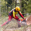 Boscaiolo in azione con motosega, indossa abbigliamento protettivo rosso e giallo, casco e occhiali di sicurezza, mentre taglia un tronco in una foresta. Equipaggiamento da lavoro sicuro per attività di taglio alberi e lavori forestali.