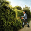Tagliasiepe STIHL HS 82 R 60 cm, dettaglio delle lame e impugnatura