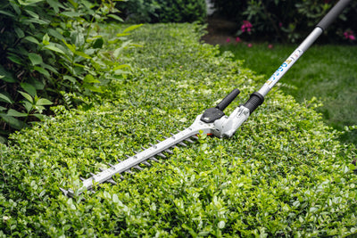 Tosasiepi HL-KM 145° di Stihl in azione su siepe alta