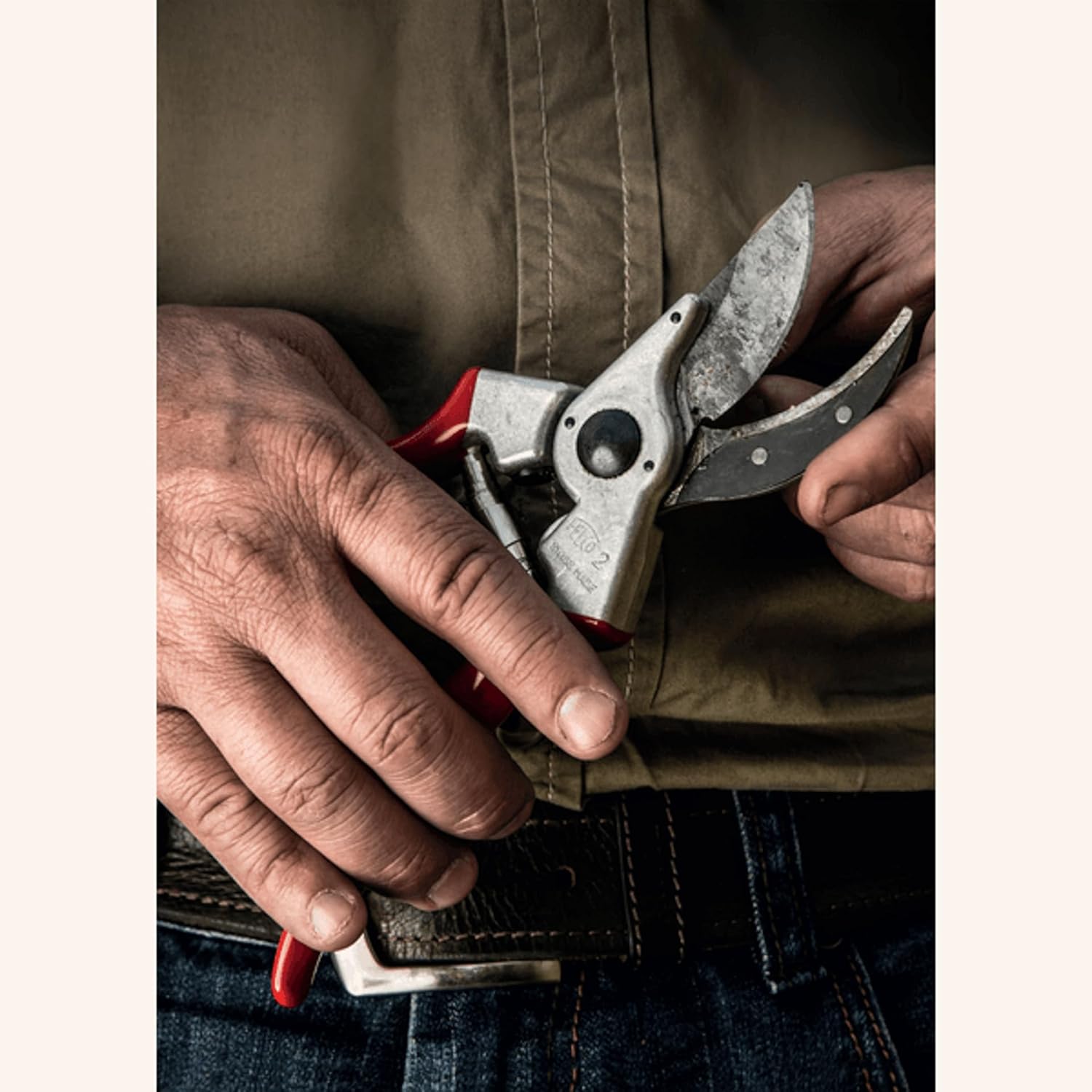 Mani di un giardiniere che tengono un paio di forbici da potatura professionali con manici rossi, indossando una giacca marrone e jeans. Strumento da giardinaggio essenziale per la cura delle piante e la potatura di precisione.