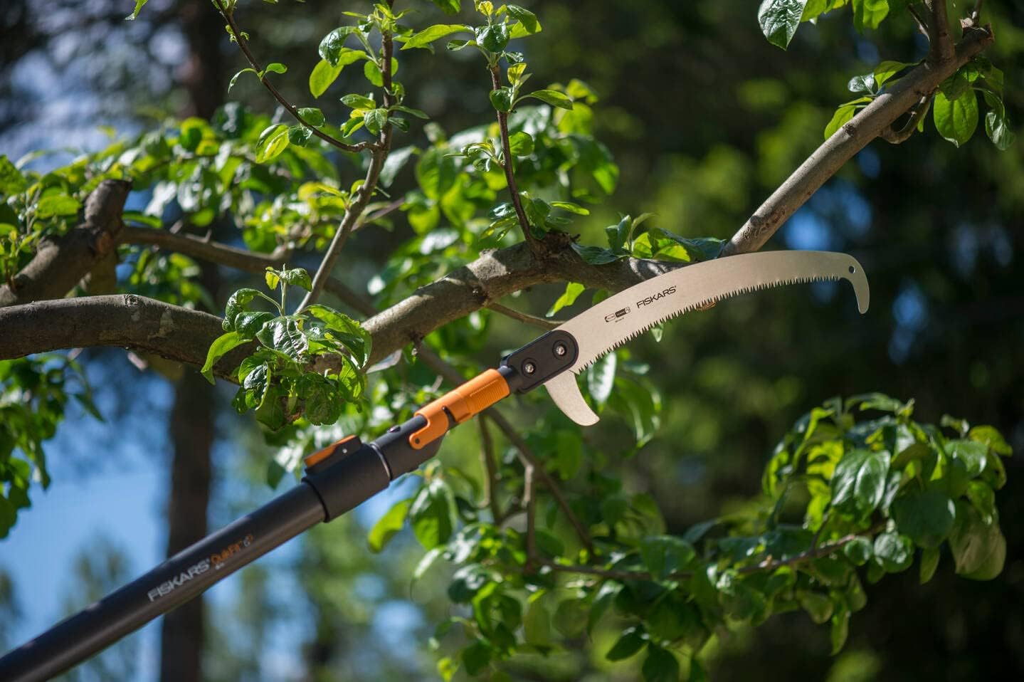 Sega da potatura telescopica Fiskars utilizzata per tagliare rami alti di un albero, circondata da foglie verdi e illuminata dalla luce del sole. Strumento ideale per giardinaggio e manutenzione degli alberi.