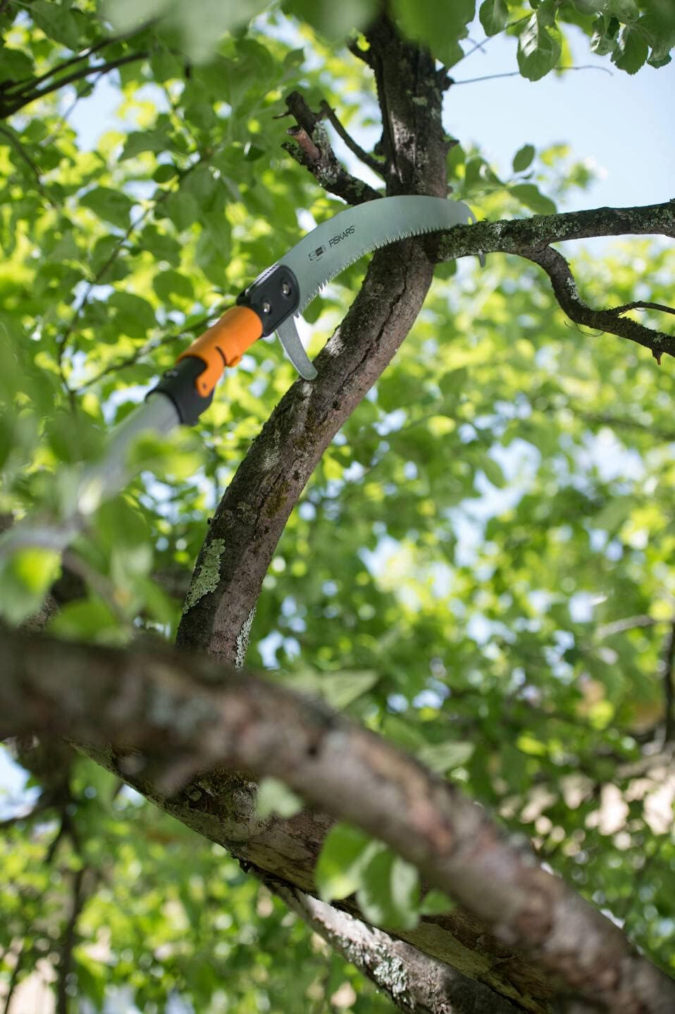 Sega telescopica per potatura alberi, lama curva affilata in acciaio temperato, manico ergonomico arancione e nero. Ideale per giardinaggio, taglio rami alti e manutenzione del verde. Strumento professionale per potatori e giardinieri.