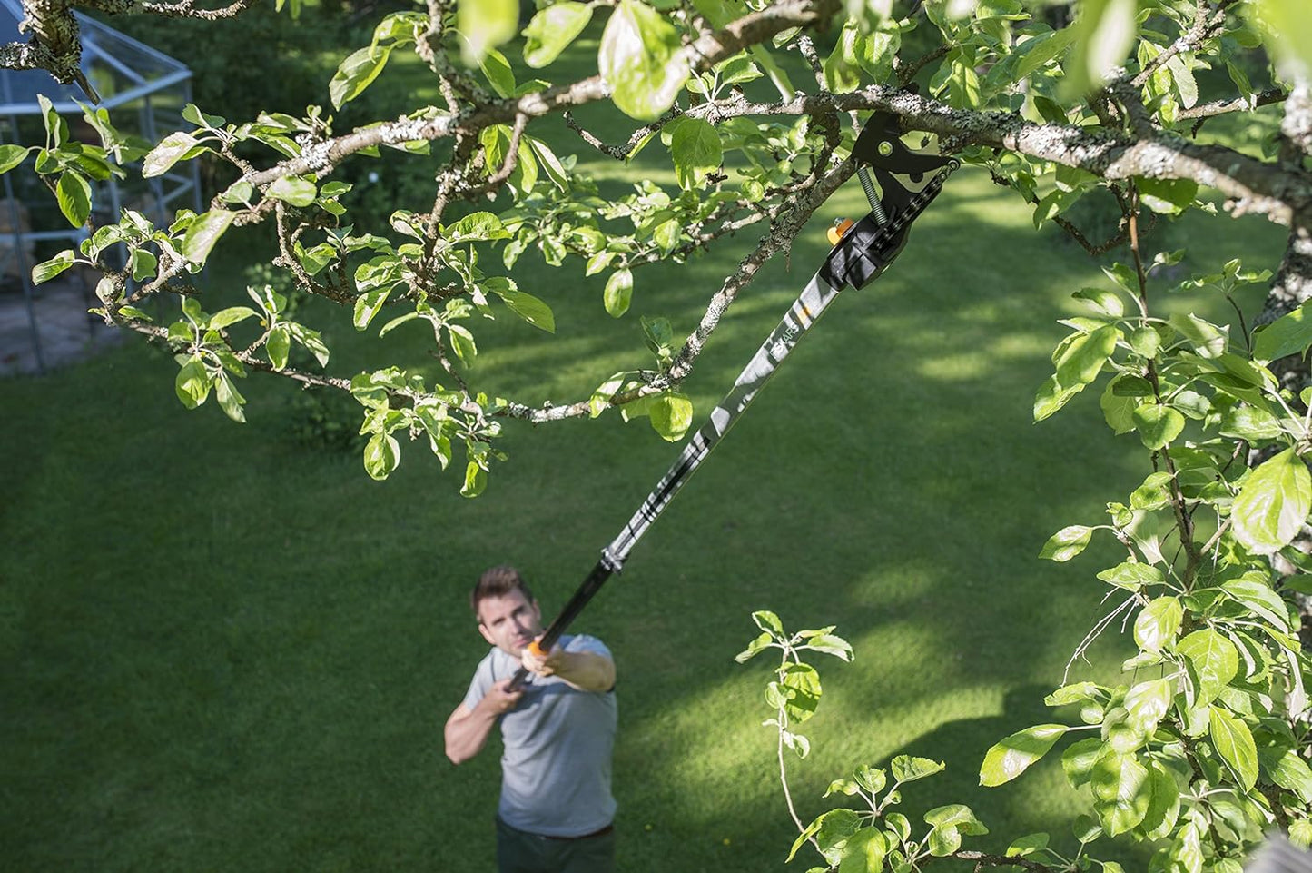 Uomo utilizza un potatore telescopico per tagliare rami alti di un albero in giardino. Strumento ideale per la potatura di alberi e arbusti senza scala. Attrezzo da giardinaggio efficiente per la manutenzione del verde.