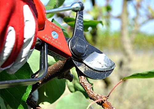 Primo piano di un paio di forbici da potatura professionali in azione su un ramo, con una mano guantata che le utilizza. Ideale per giardinaggio e cura delle piante, evidenziando la qualità e precisione dello strumento. Sfondo sfocato di un giardino.