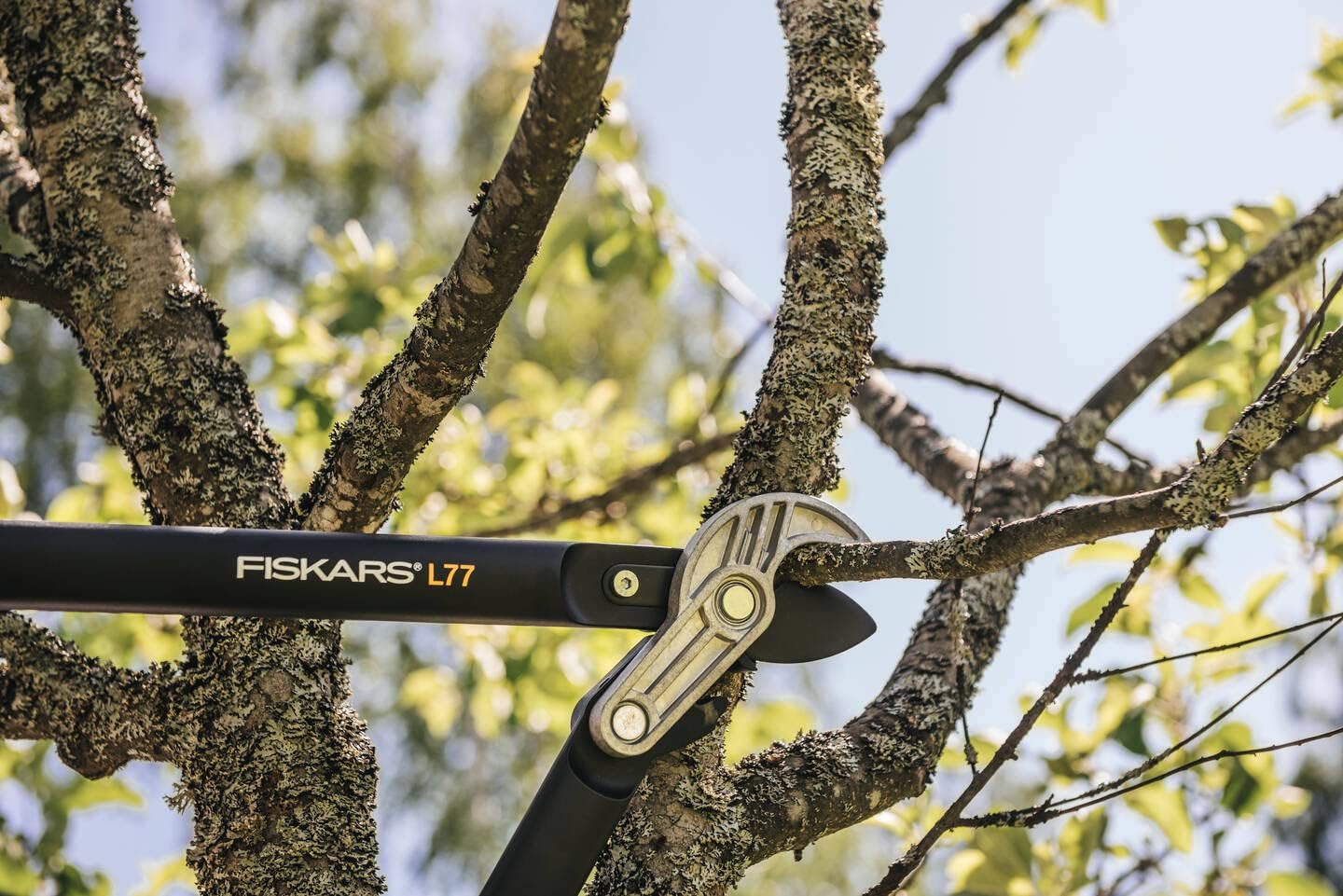 Forbici da potatura Fiskars L77 in azione su un ramo di albero. Strumento da giardinaggio professionale per taglio preciso e pulito. Ideale per la cura delle piante e la manutenzione del giardino. Alta qualità e resistenza.