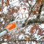 Potatore ad asta Stihl HTA 50 in uso su rami alti