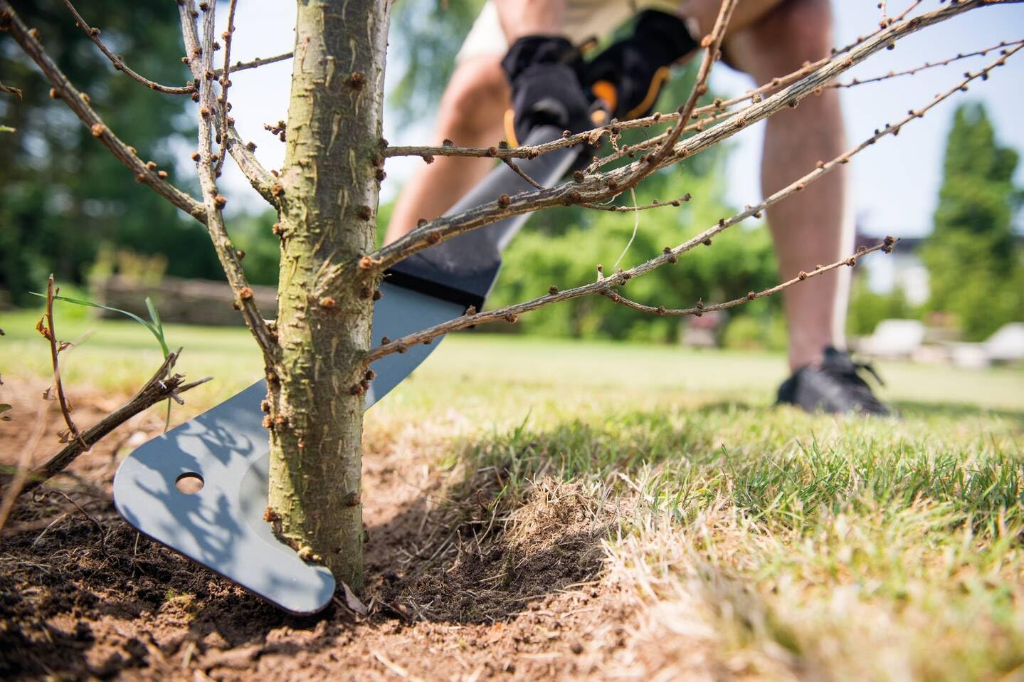 Persona utilizza un attrezzo da giardinaggio per tagliare rami di un albero in giardino. Strumento da potatura, cura delle piante, giardinaggio, manutenzione del verde, attrezzi da giardino, taglio rami, cura alberi, attrezzi per giardinieri.