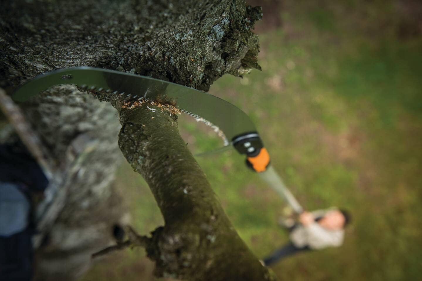 Primo piano di una sega da potatura telescopica in azione su un ramo alto di un albero, con una persona sfocata sullo sfondo che maneggia l'attrezzo. Ideale per giardinaggio, potatura alberi e manutenzione del verde.