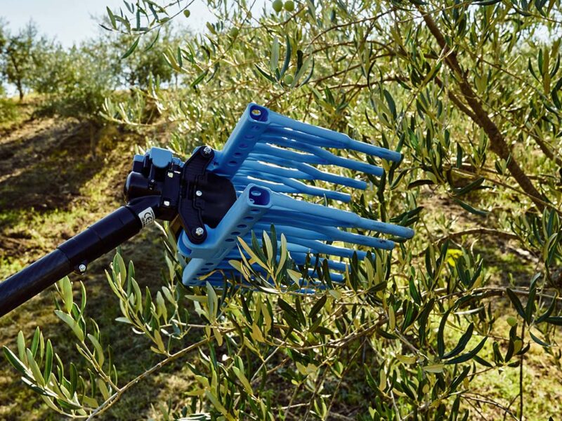 Olistar Metal Top Abbacchiatore pneumatico