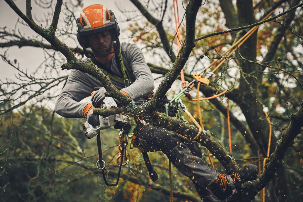 Operatore che usa il potatore STIHL GTA 40 per tagliare rami durante un'operazione di tree-climbing