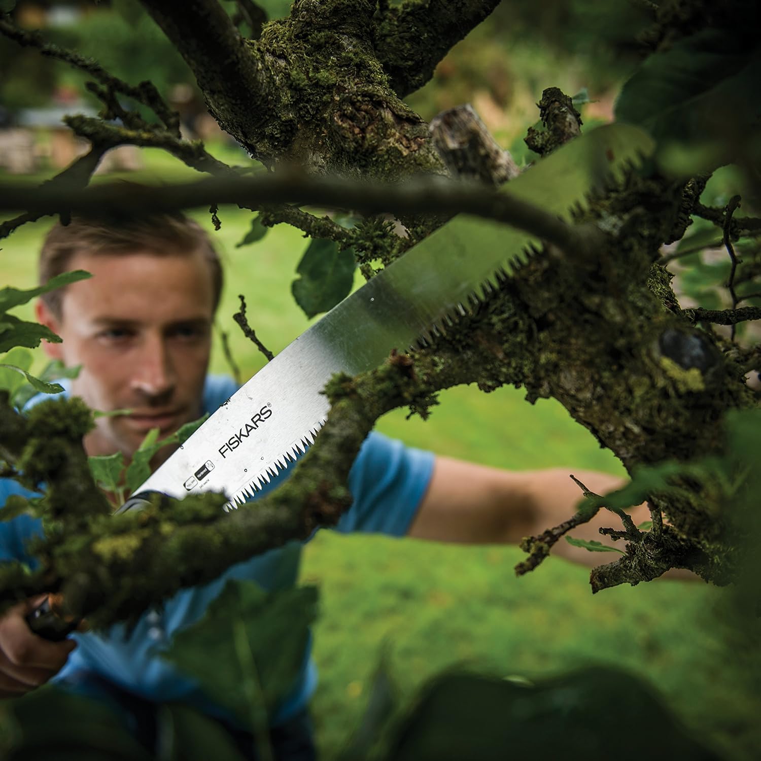 Uomo che utilizza una sega manuale Fiskars per potare un albero in giardino. Strumento da giardinaggio ideale per tagliare rami spessi. Alta qualità, precisione e durata per lavori di potatura efficaci e sicuri.