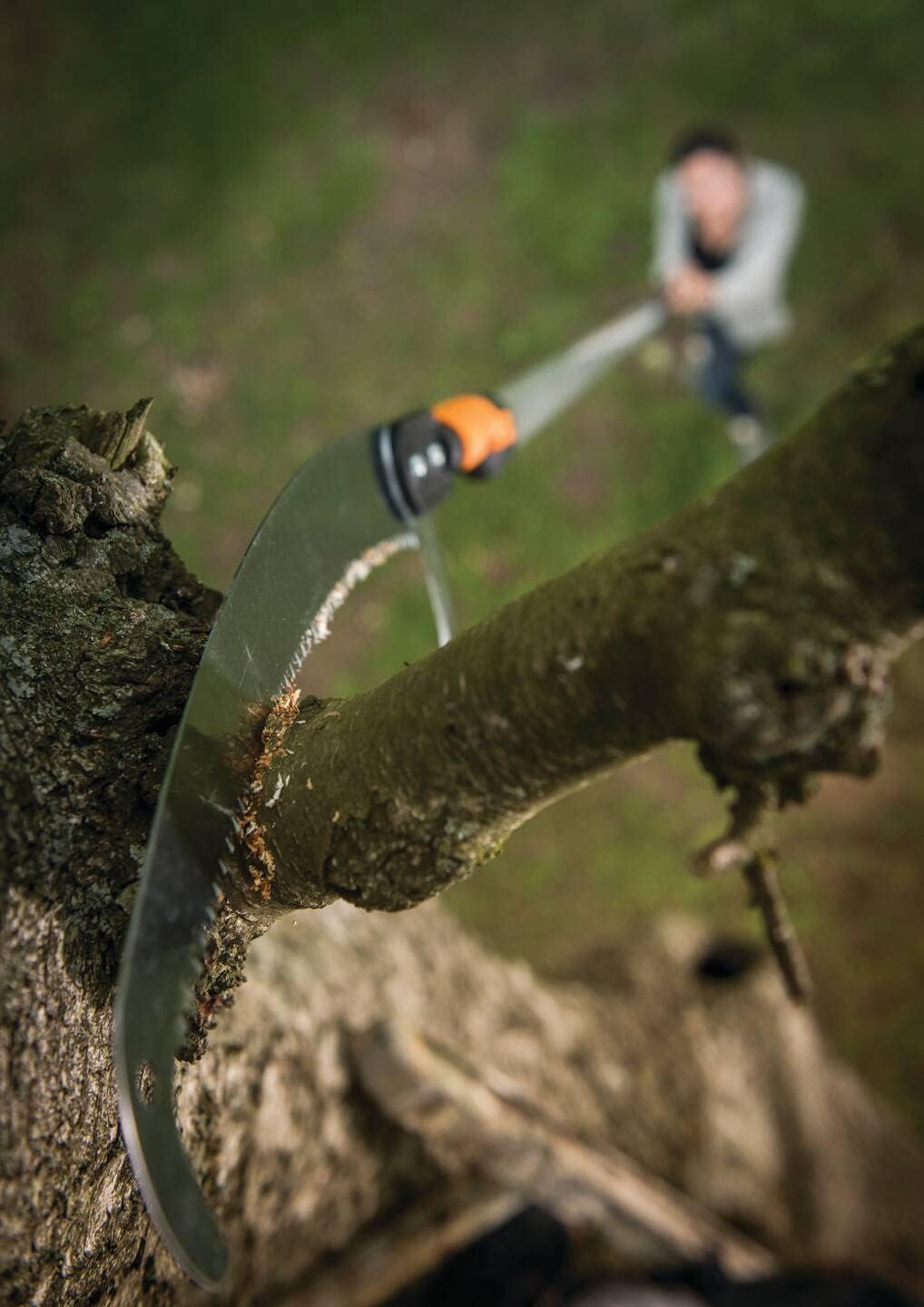 Primo piano di una sega per potatura in azione su un ramo di albero, con un uomo sfocato sullo sfondo che utilizza un'asta telescopica. Strumento ideale per la potatura di alberi e giardinaggio, garantendo tagli precisi e sicuri.