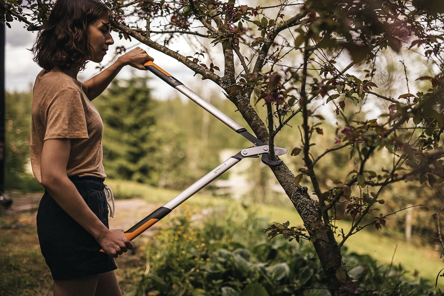 Donna che utilizza cesoie da potatura telescopiche per tagliare rami di un albero in giardino. Strumento da giardinaggio con manici ergonomici e lame affilate, ideale per la manutenzione di piante e alberi. Ambiente naturale e verde sullo sfondo.