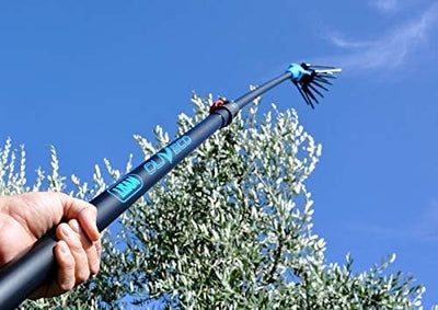 Raccoglitore di olive telescopico in azione, ideale per la raccolta delle olive in giardino. Manico estensibile con impugnatura ergonomica, adatto per uso domestico e professionale. Sfondo di cielo azzurro e rami d'ulivo. Strumento agricolo efficiente e pratico.