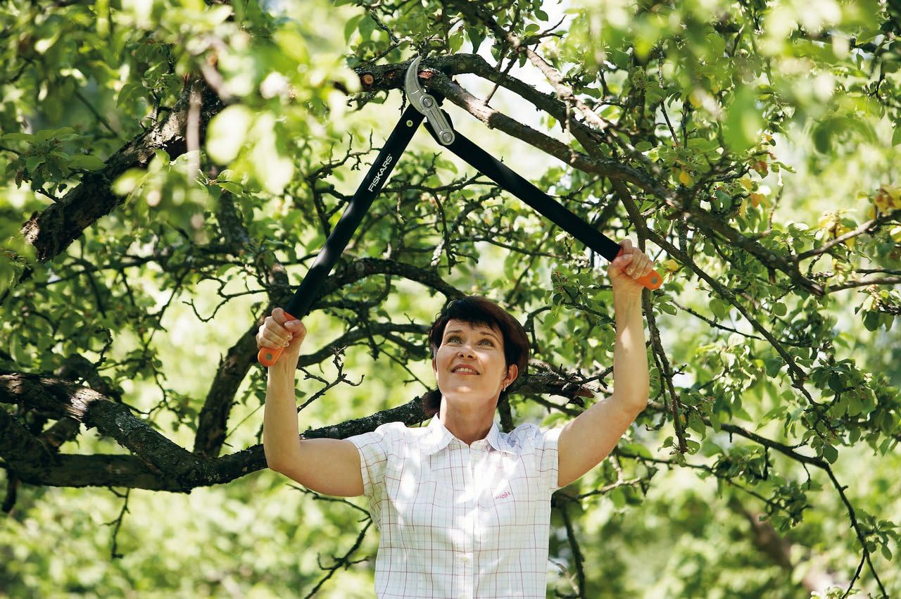 Donna che utilizza un troncarami Fiskars per potare un albero in un giardino verde. Attrezzo da giardinaggio ideale per tagliare rami alti, robusto e facile da usare. Perfetto per la manutenzione di alberi e arbusti. Acquista ora il tuo troncarami Fiskars.