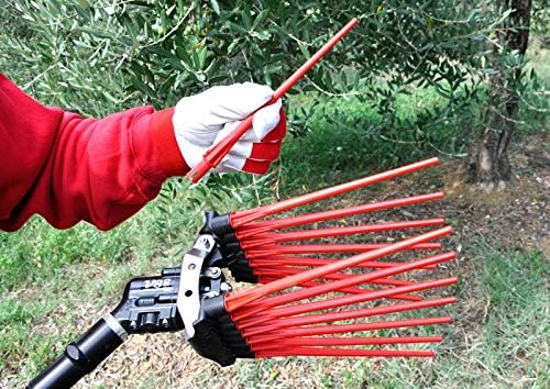 Raccoglitore di olive elettrico con pettini rossi in azione su un albero di ulivo. Un operatore con guanti rossi sostituisce un pettine. Strumento agricolo per la raccolta efficiente delle olive. Attrezzatura professionale per agricoltura.